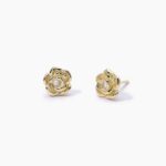 Orecchini in Argento Dorato con Rosa e Punto Luce Donna Mabina